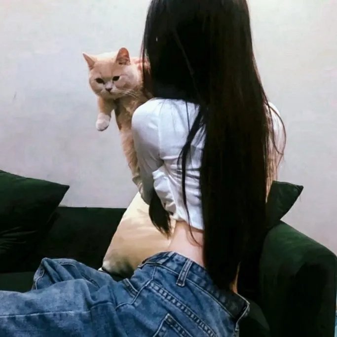 结婚白皮书